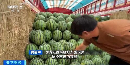 娱乐718.吃瓜王大炮,揭秘吃瓜王大炮的瓜界传奇 第2张 娱乐718.吃瓜王大炮,揭秘吃瓜王大炮的瓜界传奇 第2张